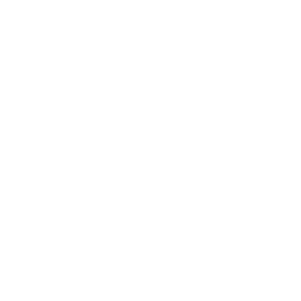 NIZ Logo weiß | Kiel Gaming Port